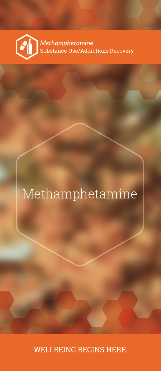 Methamphetamine (6070S1)