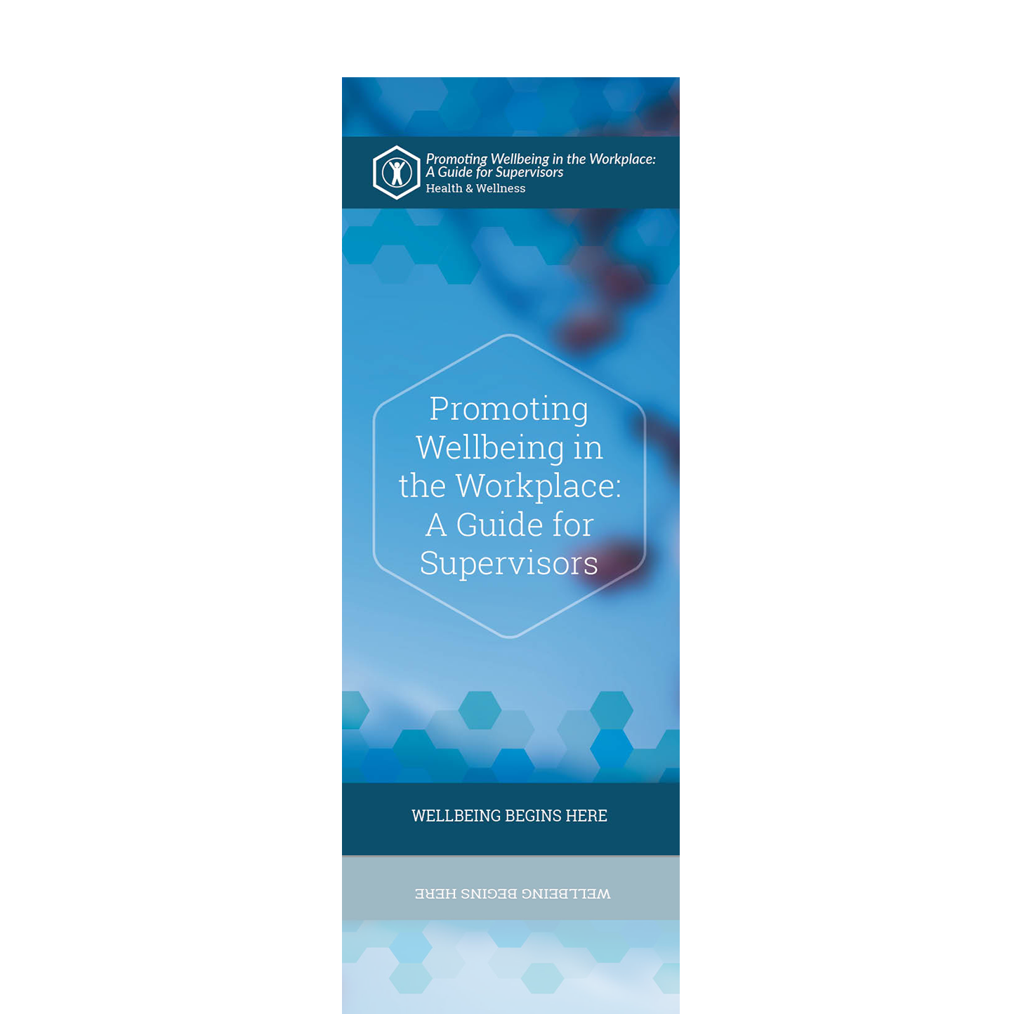 Promoting Wellbeing in the Workplace - A Guide for Supervisors (8005H)